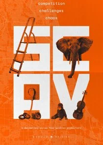 Affiche de Scav