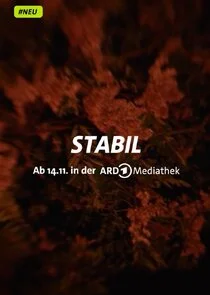 Affiche de Stabil