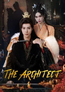Plakat The Architect