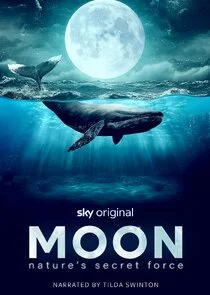 Affiche de Moon: Nature's Secret Force