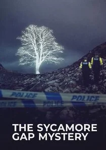 Affiche de The Sycamore Gap Tree Mystery