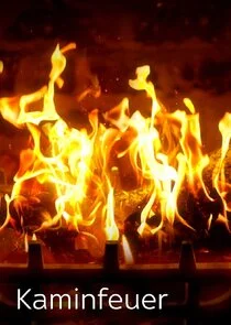 Affiche de Log Fires