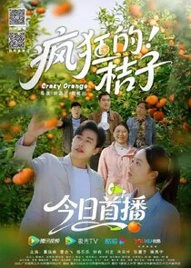 Affiche de Crazy Orange