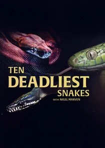 Affiche de Ten Deadliest Snakes with Nigel Marven