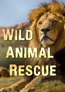 Affiche de Wild Animal Rescue