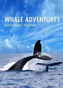 Affiche de Whale Adventure with Nigel Marven