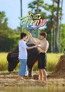 Affiche de Love Harvest