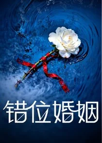 Affiche de The Mismatched Marriage