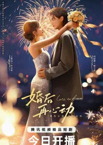 Plakat Late to Love
