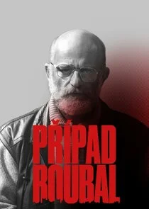 Poster di PrÄ‚Â­pad Roubal