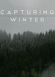 Affiche de Capturing Winter