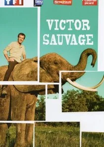 Victor Sauvage afişi