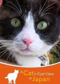 Plakat A Cat's-Eye View of Japan