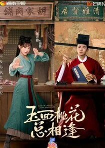 Affiche de The Lady in Butcher's House