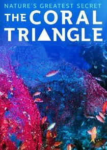 Affiche de Le triangle de corail