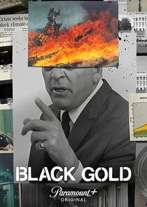 Poster di Black Gold