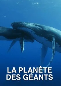 Affiche de La planète des géants
