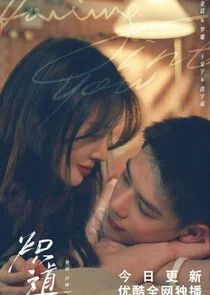 Poster di Falling Into You