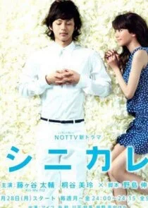 Plakat Shinikare