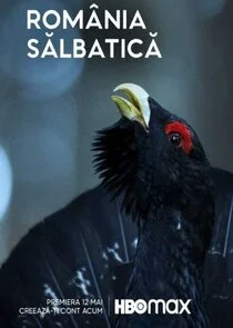 Poster di RomÄ‚Ënia SĂ„ÂlbaticĂ„Â