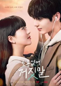 My Lovely Liar poster