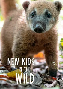 Affiche de New Kids in the Wild
