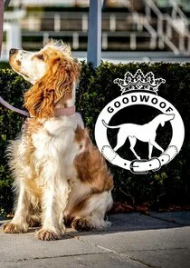 Affiche de Goodwoof