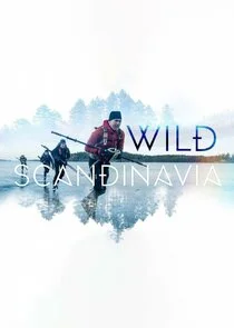 Affiche de Au cœur de la Scandinavie