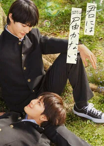 Affiche de Kimi ni wa Todokanai