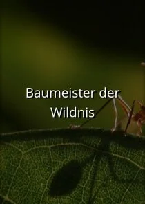 Affiche de Baumeister der Wildnis