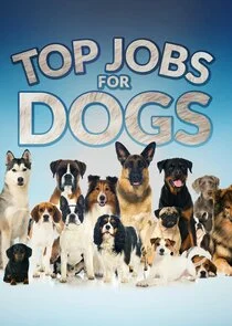 Poster di Top Jobs for Dogs