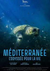 Poster di Mediterraneo: l'Odissea per la vita