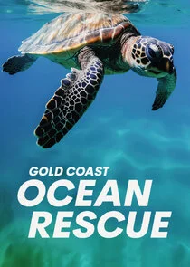 Affiche de Gold Coast Ocean Rescue