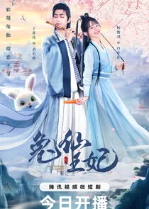 Plakat The Princess is a Rabbit Fairy