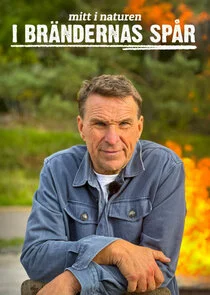 Poster di I brÄ‚Â¤ndernas spÄ‚Ä„r