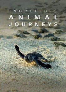 Incredible Animal Journeys poster