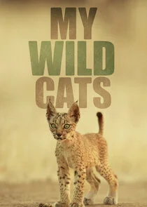 My Wild Cats poster