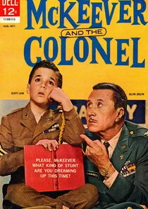 McKeever and the Colonel afişi