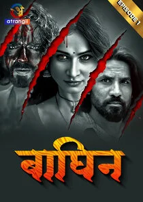 Poster di Baghin