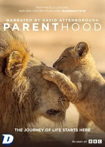 Parenthood poster