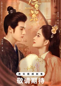 Póster de Blossom