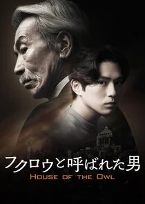 Affiche de L'Homme que l'on appelait le Hibou