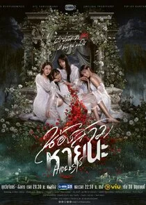 Affiche de Hide & Sis