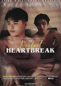 The Perfect Heartbreak Poster