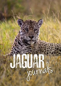 Affiche de Jaguar Journals
