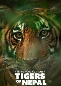 Affiche de The Tracker's Diary: Tigers of Nepal
