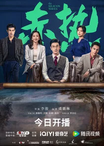 Affiche de The Silicon Waves
