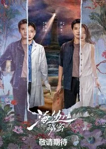 Plakat Secrets by the Sea