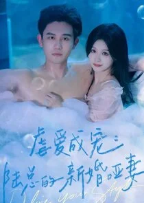 Poster di My Beautiful Dumb Wife