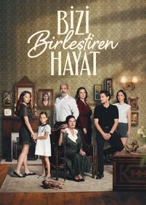 Bizi BirleĹźtiren Hayat poster